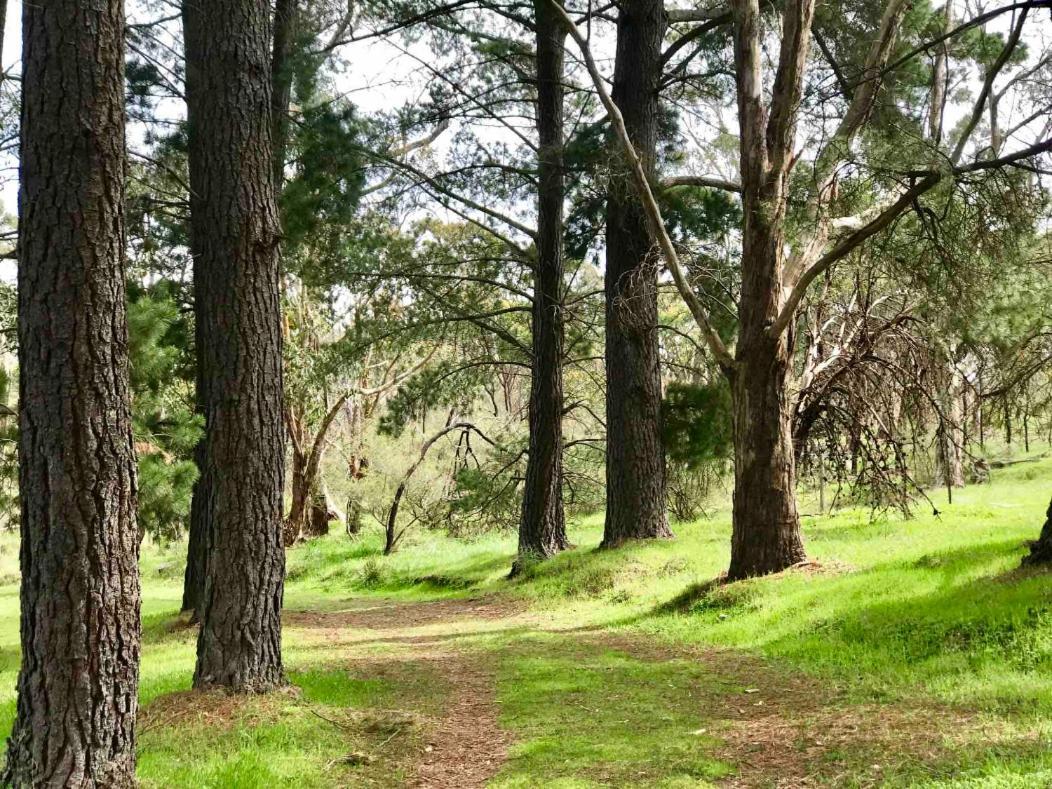 Adelaide Hills Escape Hotell Woodside Eksteriør bilde