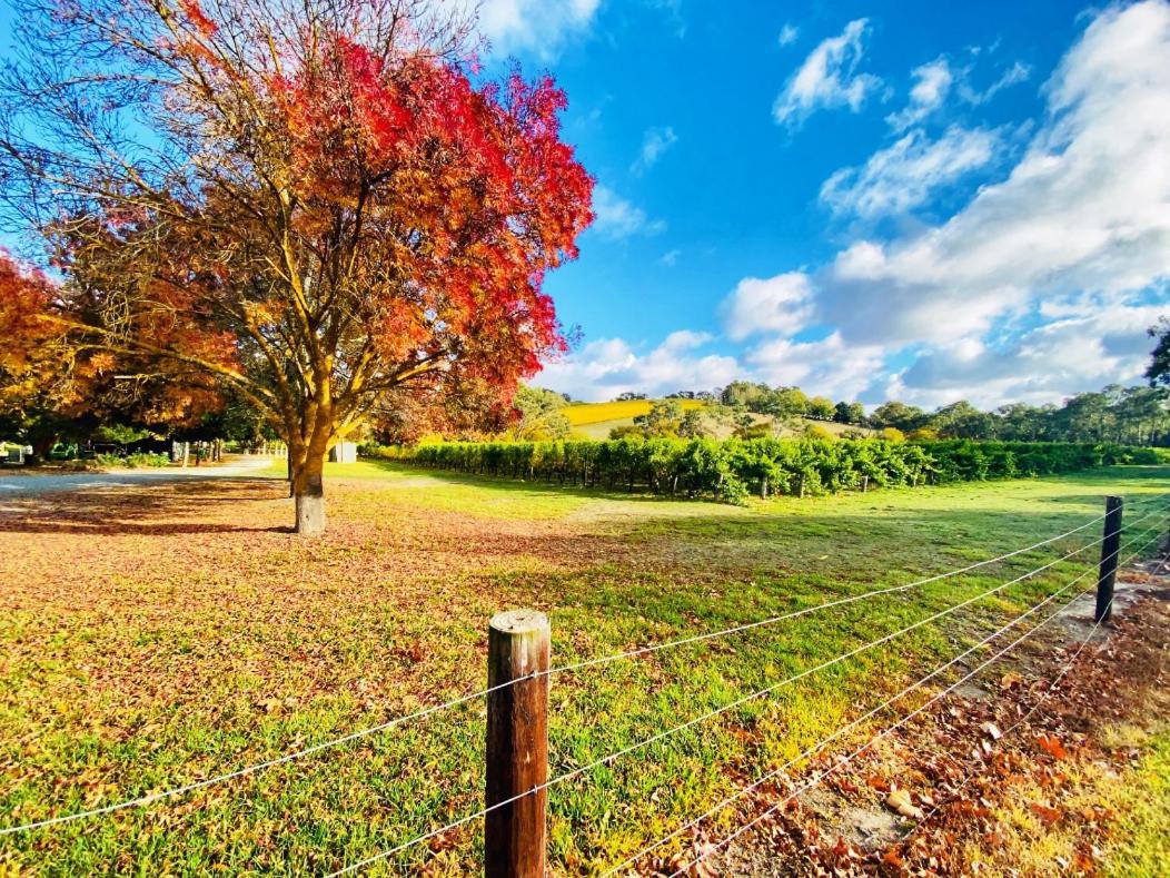 Adelaide Hills Escape Hotell Woodside Eksteriør bilde