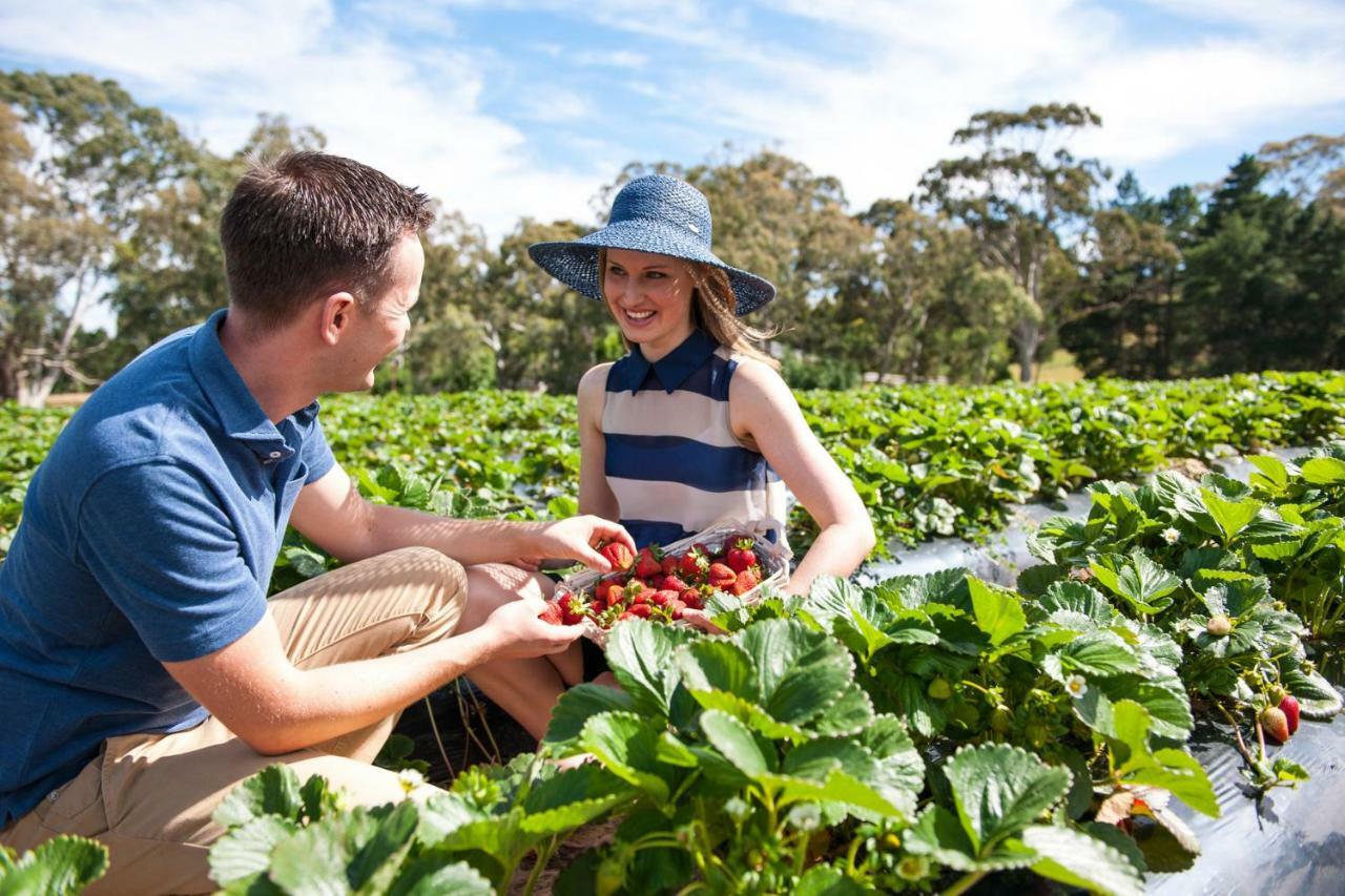Adelaide Hills Escape Hotell Woodside Eksteriør bilde